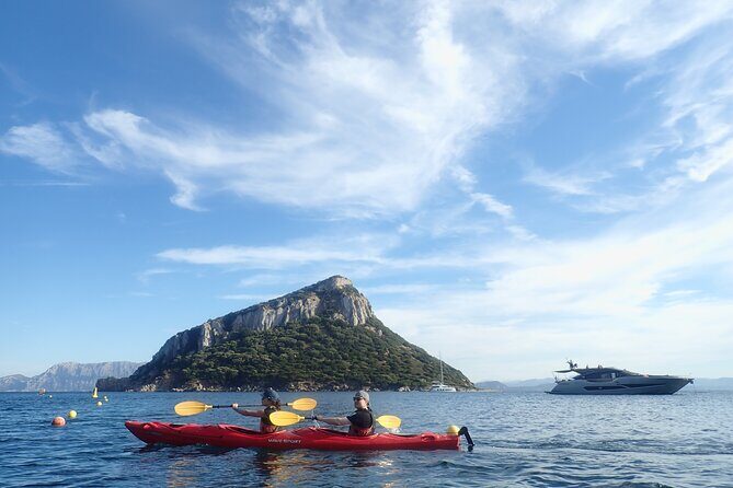 3-Hour Kayak Tour at Capo Figari (Golfo Aranci) - Stop 1: Capo Figari—dolphins, wildlife talk, and that close-to-the-coast feeling
