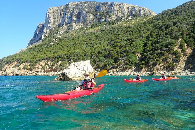 3-Hour Kayak Tour at Capo Figari (Golfo Aranci) - Who this tour fits best (and who should be cautious)