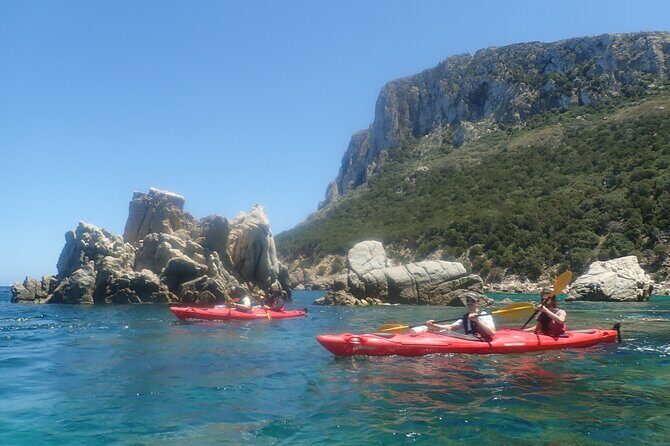 3-Hour Kayak Tour at Capo Figari (Golfo Aranci) - Practical expectations: what to bring your brain (not just your body)