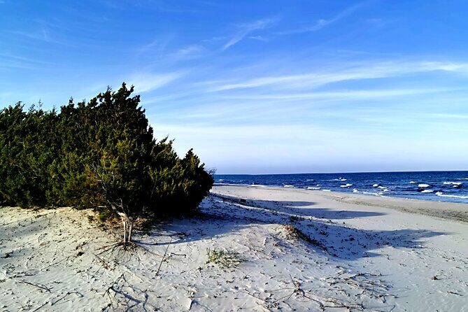 4 × 4 excursion to the beaches of Biderosa and Capo Comino - Spiaggia di Capo Comino: dunes, junipers, and Ruja island in the frame