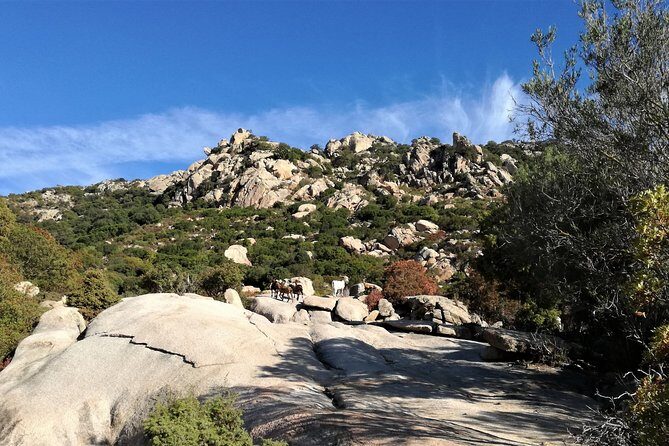 4x4 excursion between mountain and sea - Stop 1: Domus de Janas rock tombs and Sardinia’s fairy-house name