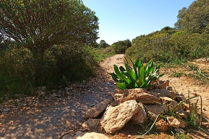 A hike to the Devil's Saddle - Calamosca Lighthouse: More Than a Photo Stop