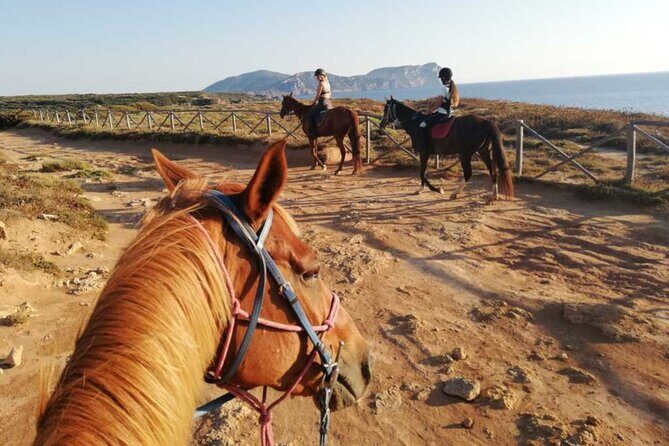 Alghero: horseback ride in Porto Ferro and Lake Baratz - Who This Horse Ride Is Best For (and Who Should Skip)