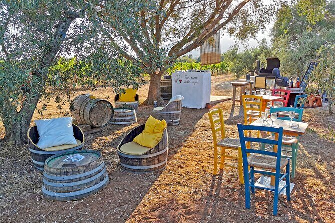 Archeology, visit to a vineyard and wine and pecorino cheese tasting - The vineyard walk: meeting the winemaker and seeing Cannonau up close
