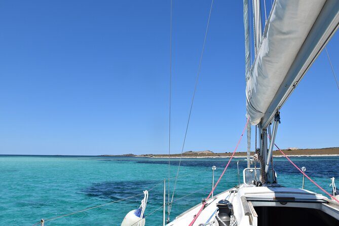 Asinara sailing experience among the coves of the island - Key highlights at a glance