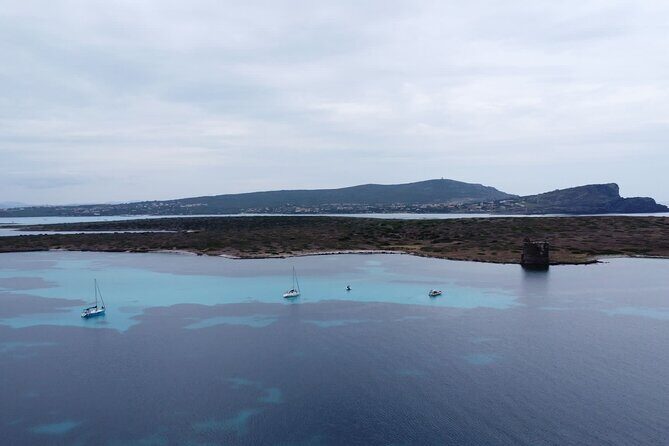 Asinara: Sailing trip in the park of Asinara - Price and value: when $133.03 makes sense