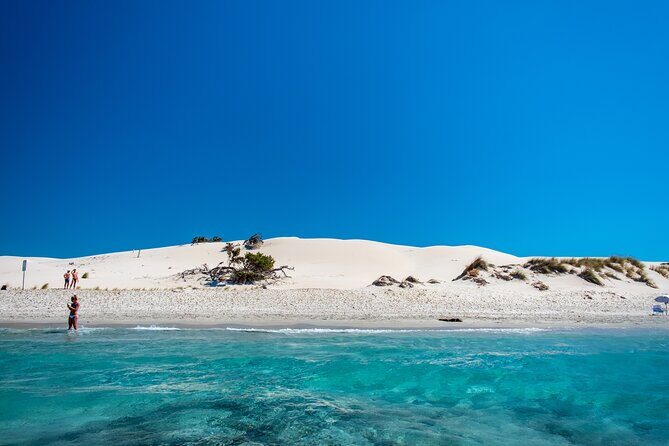 Beach Tour Porto Pino and Piscinnì - Key highlights worth your attention