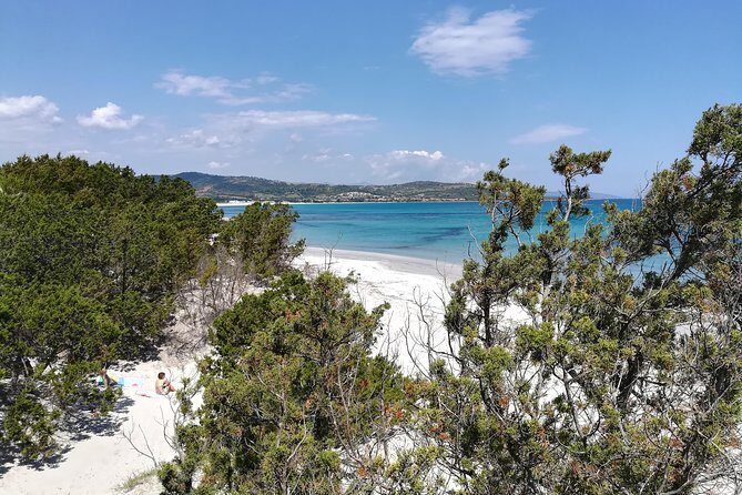 Biderosa and Capo Comino Beach Tour - Key Things You’ll Appreciate on This Biderosa + Capo Comino Tour