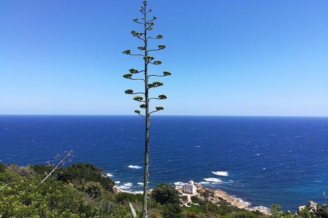 Biderosa and Capo Comino Beach Tour - Stop 1: Oasi Biderosa and the Gulf of Orosei Swim Break