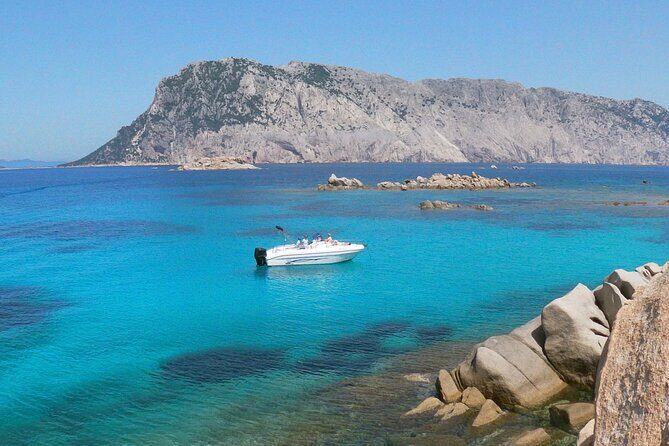 Boat Tour and Snorkeling Golfo di Olbia Private up to 6 people - Setting Sail from Olbia’s MOYS Marina at 10:00 a.m.