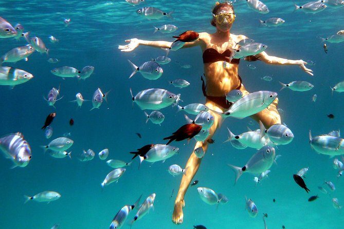 Boat Tour and Snorkeling Golfo di Olbia Private up to 6 people - Onboard Snacks, Sardinian Wine, and Carasau-Style Good Stuff