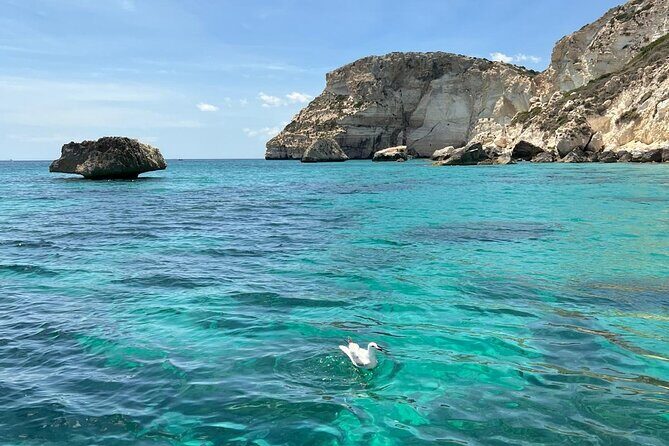 Boat tour the devil's saddle,snorkeling,prosecco and lots of sun - Starting at Cagliari cruise port: views over the Castle district
