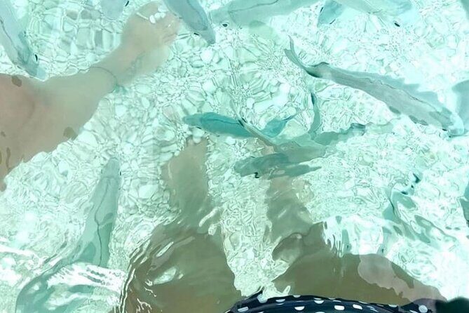 Boat Trip: Grotta del Fico, Cala Mariolu, Gabbiani & Biriala - Cala Biriala: When You Get It, You’ll Appreciate the Beach Time