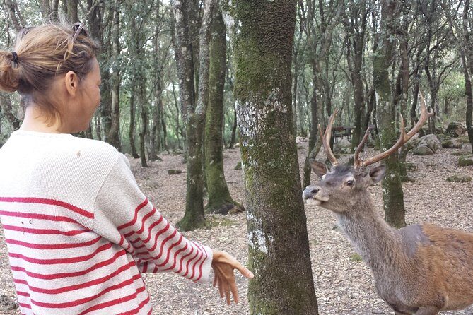 Cagliari: Is Cannoneris Nature Reserve Jeep and Walking Private Tour from Chia - Key highlights at a glance