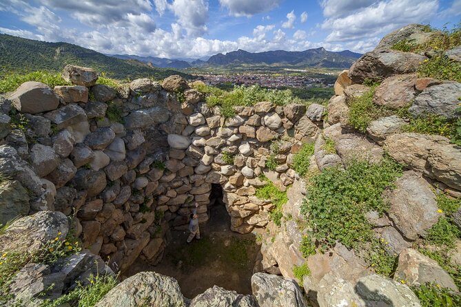 Cagliari: Is Cannoneris Nature Reserve Jeep and Walking Private Tour from Chia - What you need to know before you go