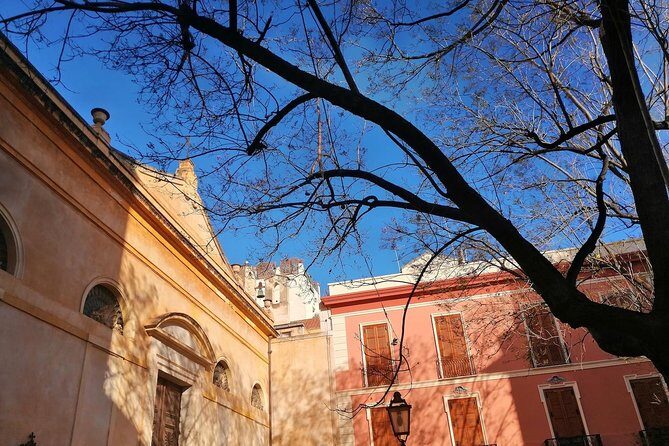 Cagliari: natural cultural walking, food wine tasting experience - The Food and Wine Stops: Sheep’s Milk Cheese, Cured Meats, Sapa, and Natural Wine