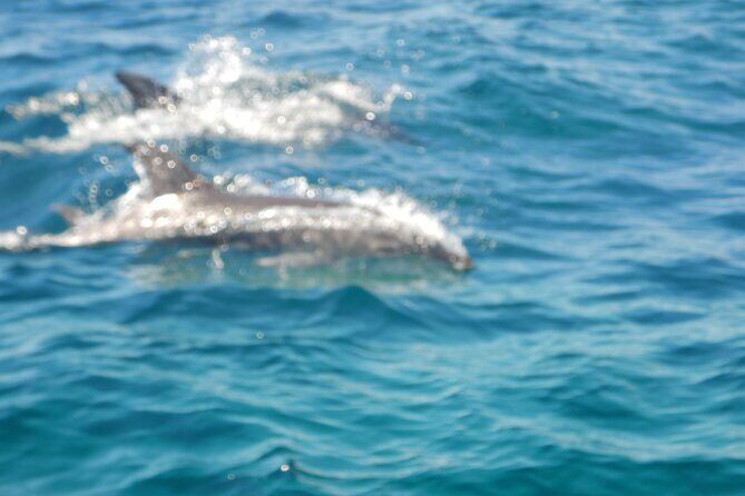 Cagliari: The magic of the Devil's Saddle and its caves - Two hours on the water: what the timing really means