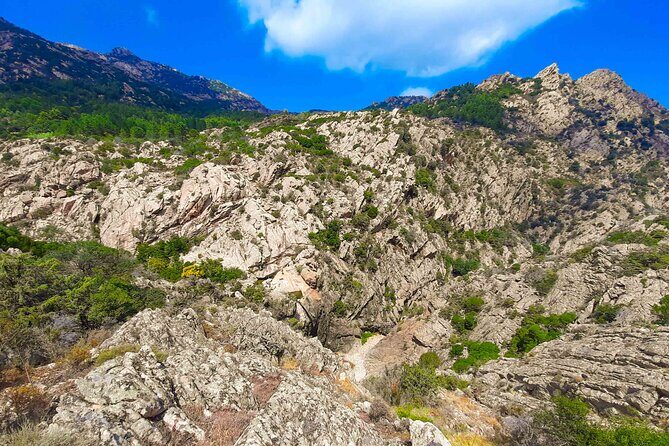 Canyoning in Rio Pitrisconi and Monte Nieddu in San Teodoro - Who Should Book This Canyoning Trip in San Teodoro