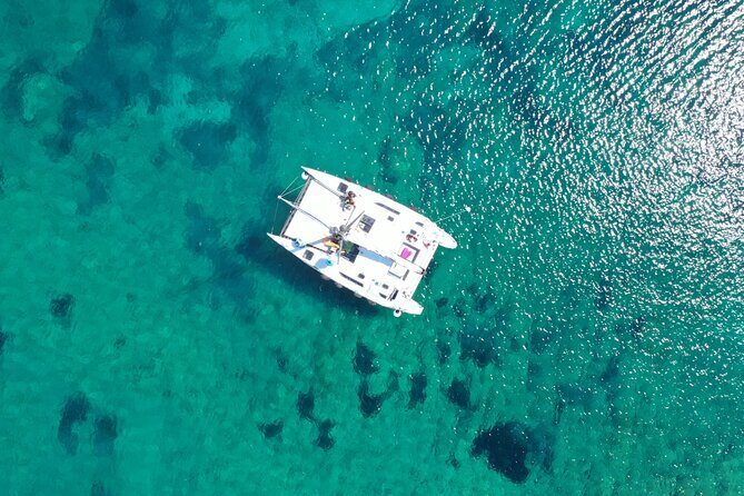 Catamaran excursions in the Asinara island National park - Asinara National Park by Catamaran: What an 8-Hour Day Delivers