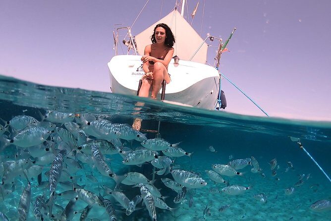 Catamaran excursions in the Asinara island National park - Guided Snorkeling: Spotting Pinna Nobilis and the Fish You Came For