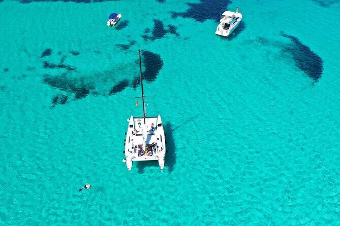 Catamaran excursions in the Asinara island National park - Lunch on Board: Three Courses, Bottled Wine, and Real Chef Energy