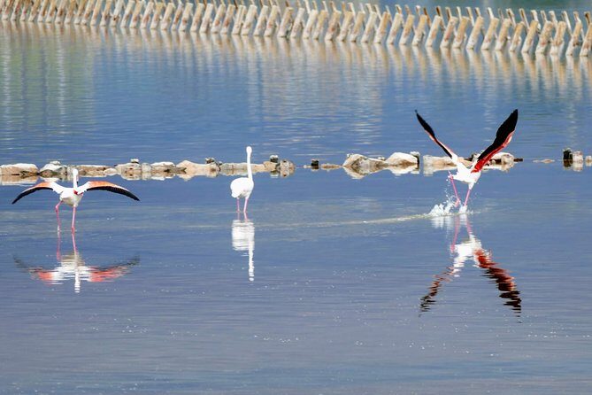 Charming Cagliari Tour - Stop 3: Poetto beach walk and the devil saddle tale