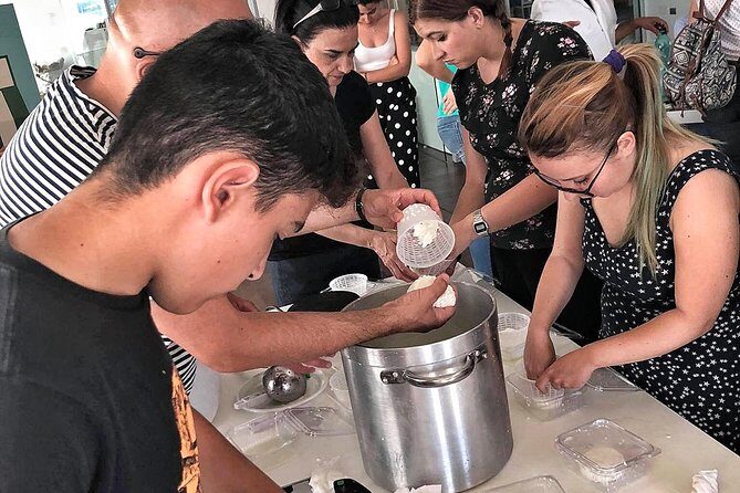 Cheesemaker for a day & visit to the dairy - Key points worth your attention