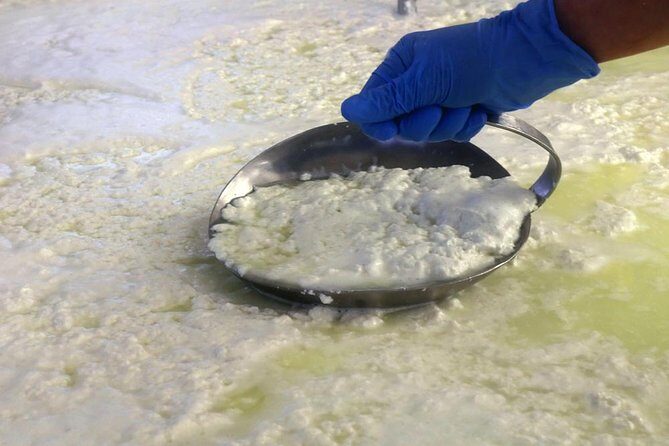 Cheesemaker for a day & visit to the dairy - The hands-on cheesemaking laboratory: what you actually do