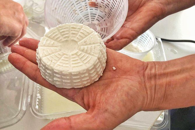 Cheesemaker for a day & visit to the dairy - Who should book this cheesemaker workshop
