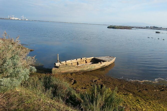 Chia Beaches Tour from Cagliari with van - Key Things You’ll Notice on This Chia Tour