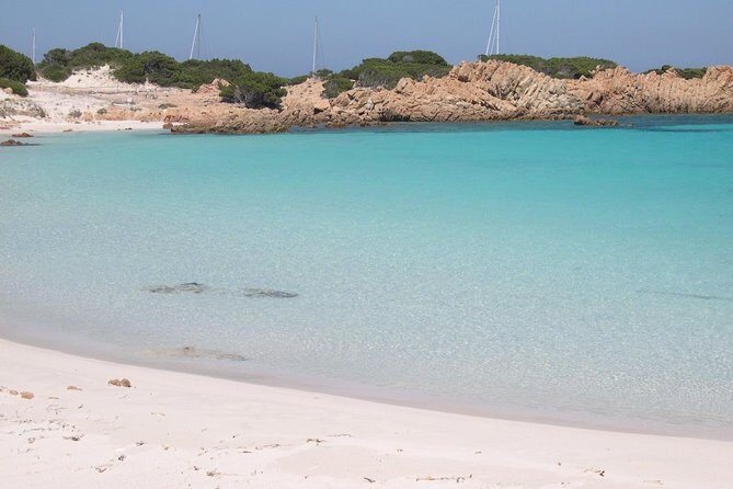 Daily 4 stop - boat excursion La Maddalena Archipelago - La Maddalena town hour: Santa Maria Maddalena, shops, and a breather