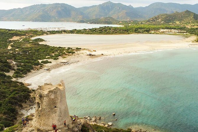 Discover Scuba diving in Villasimius - What You’ll See Underwater: Posidonia, Groupers, Damselfish, and Barracuda