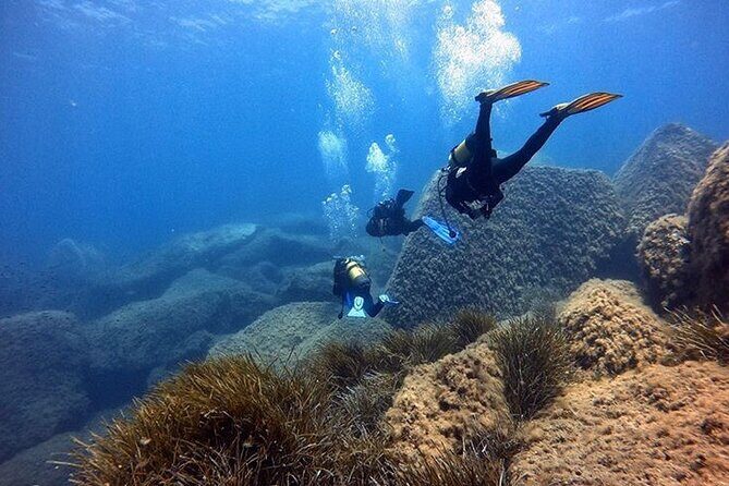 Discover Scuba diving in Villasimius - Price and Value: Is $106.64 Worth It?