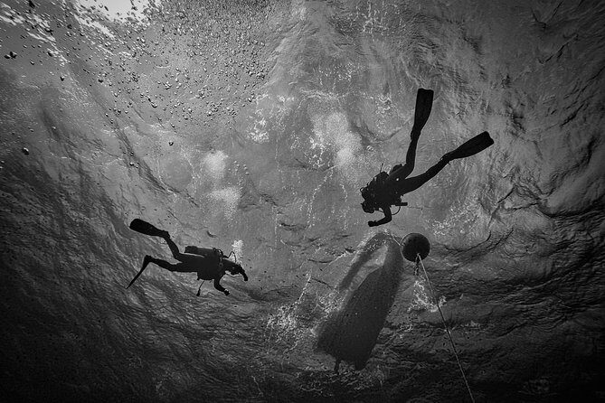 Diving baptism with cylinders (Introdive) at the Capo Carbonara Marine Protected Area - Safety and attention: small groups, 1:1 help, and nervous-first-timer friendliness