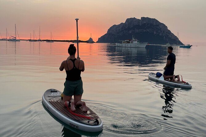 Dolphin-spotting SUP tour with Golfo Aranci aperitif - Key moments to know before you go