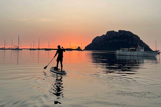 Dolphin-spotting SUP tour with Golfo Aranci aperitif - Price and value: what you’re really paying for at $71.15