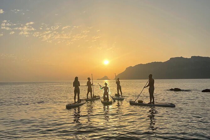Dolphin-spotting SUP tour with Golfo Aranci aperitif - Group size, timing, and the dolphin element
