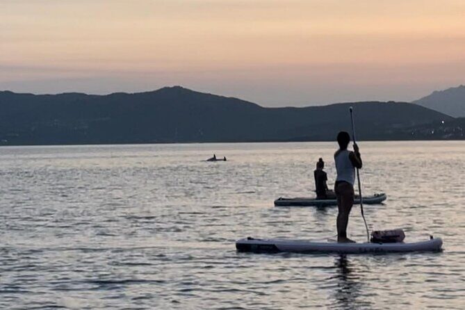 Dolphin-spotting SUP tour with Golfo Aranci aperitif - Practical tips to make the paddle easier