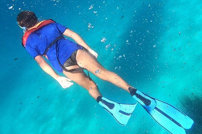 Dolphin Watching and Snorkeling in Figarolo in Sardinia - Figarolo Island: Island Views Plus More Time in the Water