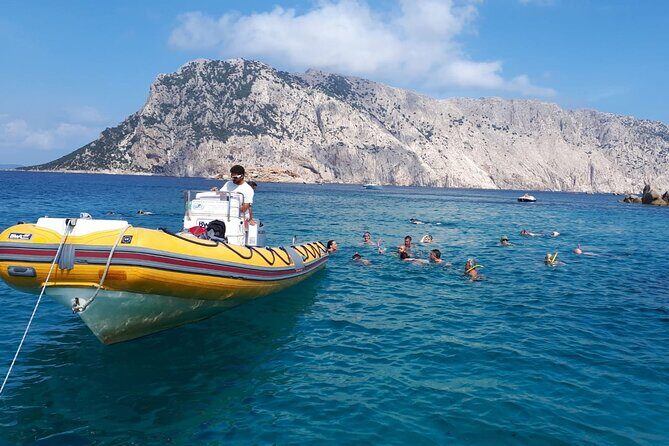 Dolphin Watching and Snorkeling in Figarolo in Sardinia - Guides and Crew Style: Small-Group Attention With Eco Respect