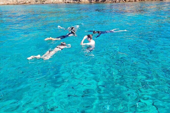 Dolphin Watching Tour with Snorkeling from Olbia - From Olbia’s MOYS marina to the sea’s first viewpoint