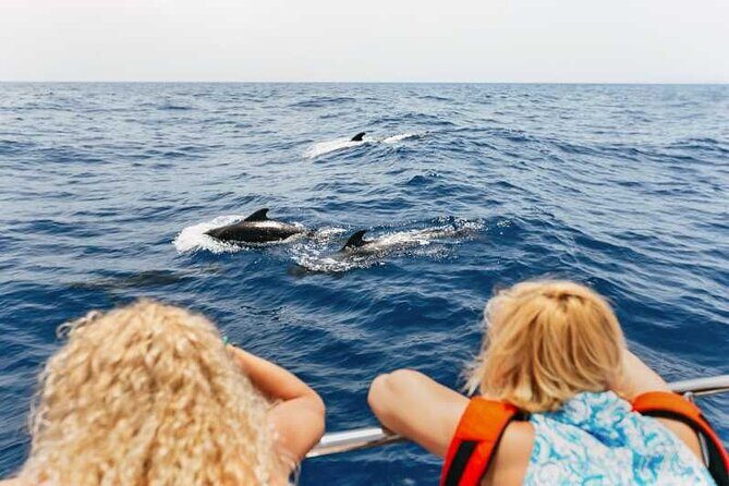 Dolphin Watching Tour with Snorkeling from Olbia - Figarolo Beach: turquoise swims near the famous island