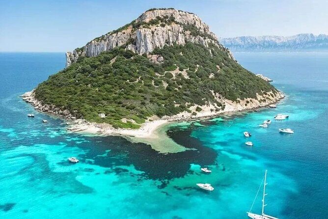 Dolphin Watching Tour with Snorkeling from Olbia - The guiding style: skipper plus naturalist, and why it changes the day
