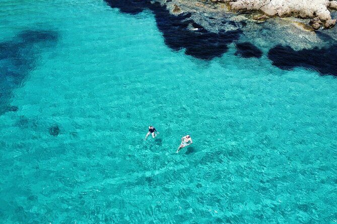 Dolphins Circus tour in Small group - Setting Sail From Cugnana: the small-group advantage