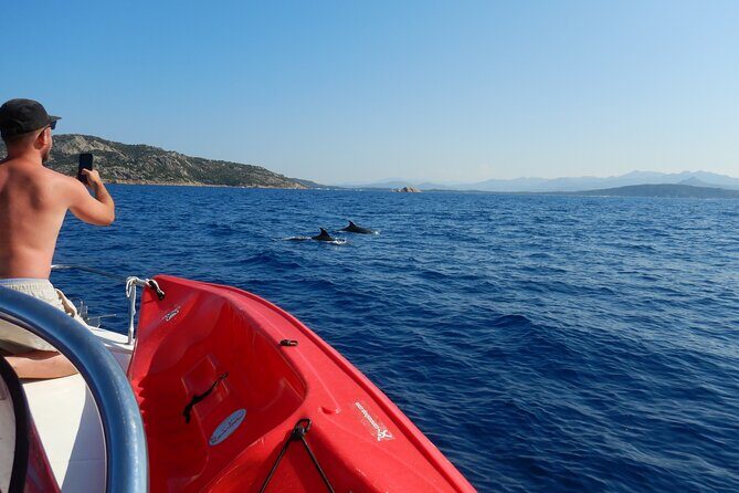 Dolphins Circus tour in Small group - Snorkeling stop: how to get more from the water time