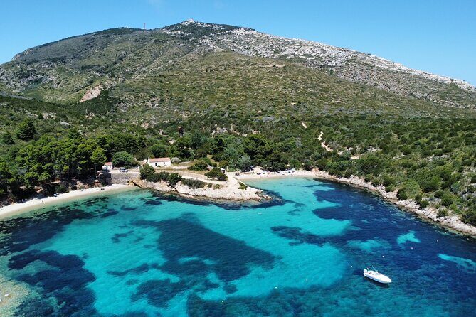 Dolphins Rib boat (up 6 people) Private - Figarolo and Cala Moresca: snorkeling in clear water
