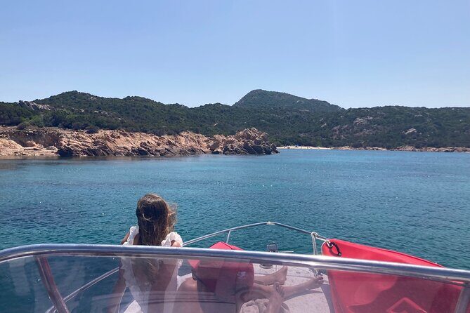 Dolphins Rib boat (up 6 people) Private - Every stop is built for swimming, not sitting