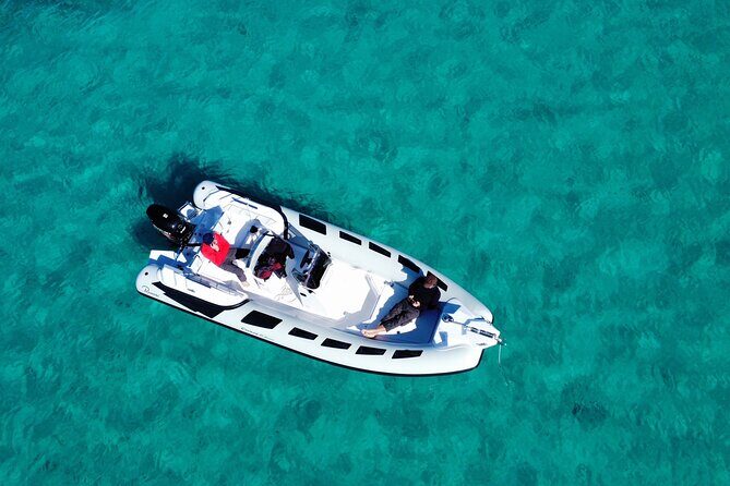 Dolphins Rib boat (up 6 people) Private - Where you start: Gulf of Cugnana and the Olbia meeting area
