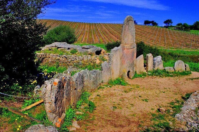Exclusive Costa Smeralda Sightseeing Tour for 2/3 people - Costa Smeralda Panoramic Drive: The Romantic Finish
