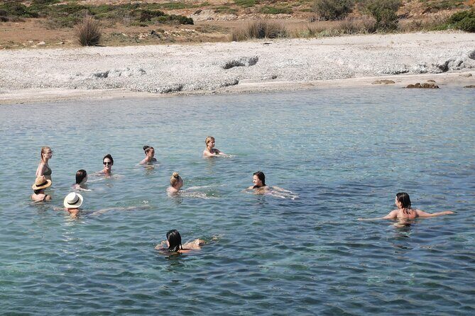Excursion to Asinara Stintino La Pelosa National Park - Price and what you actually get for $192.23
